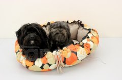 Pelechy - Pelech Měšec - oranžové koule Pelech Měšec - oranžové koule